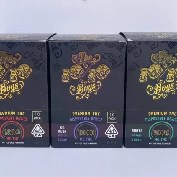 THE 10/10 BOYS 2G DISPOSABLE