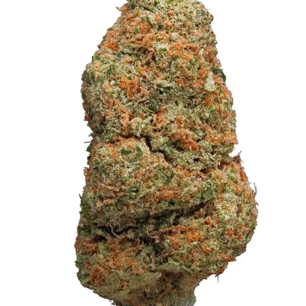 Northern light