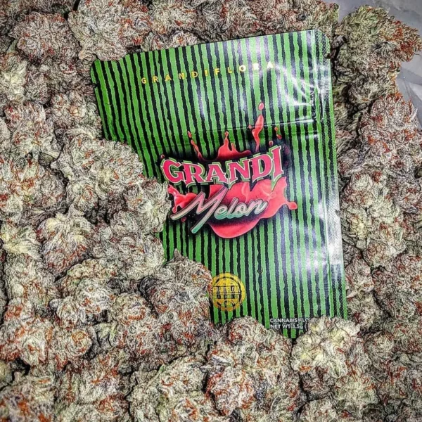 Grandi Melon Strain