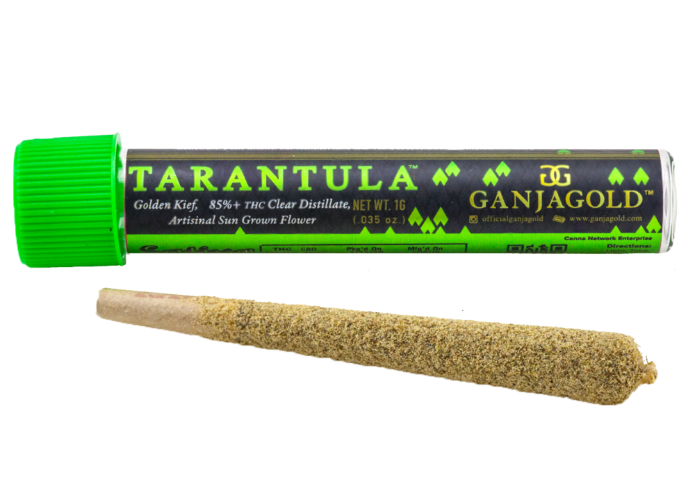 Ganja Gold/Green Tarantula