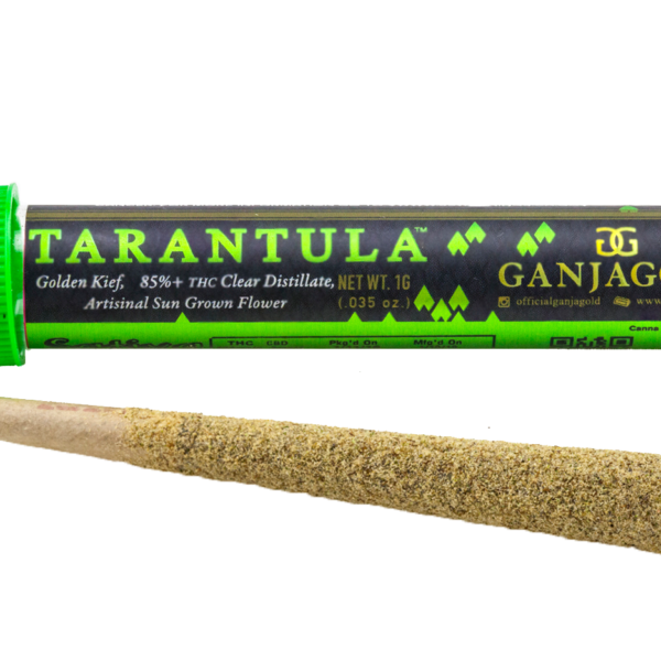 Ganja Gold/Green Tarantula