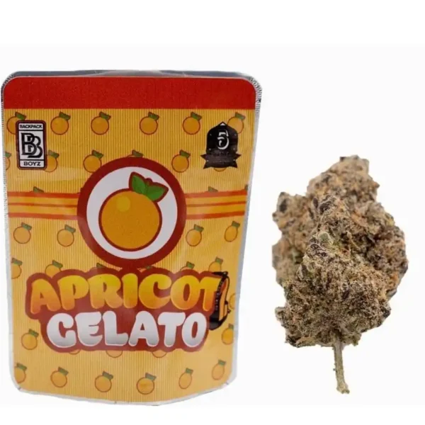 Apricot Gelato Strain | Backpackboyz