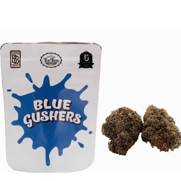 Blue Gushers Strain | Backpackboyz