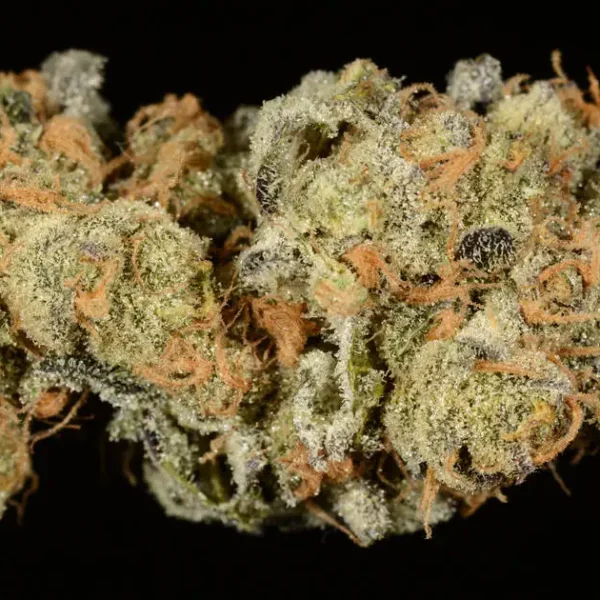 Girl scout cookies