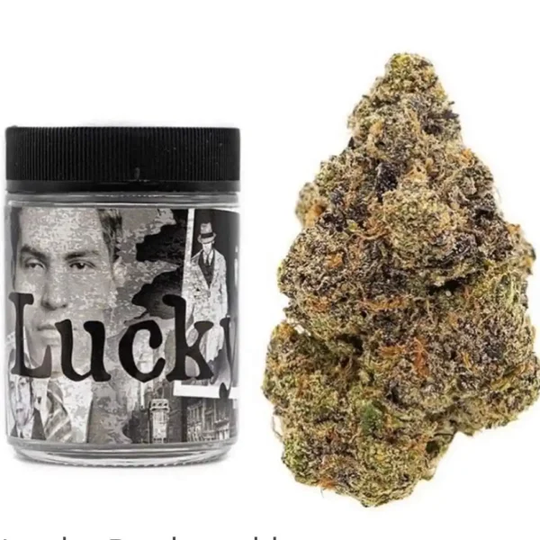 Lucky Strain | Backpackboyz
